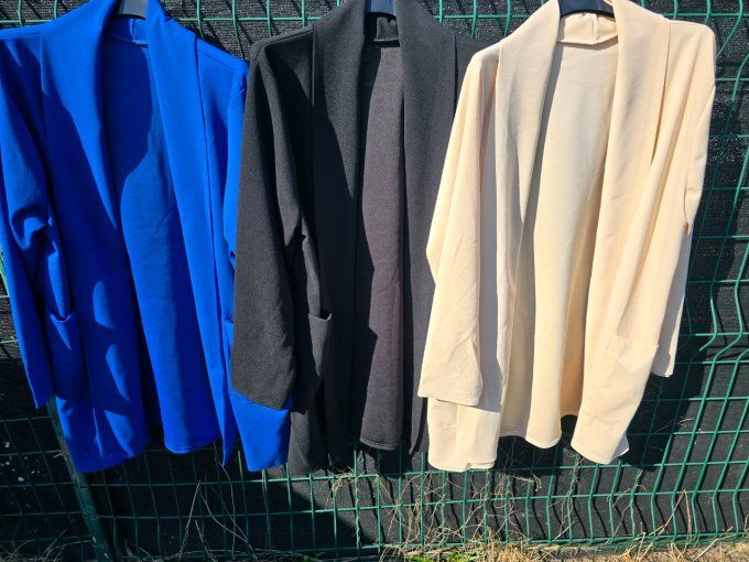 Blazer